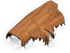 Trunk1 Fallen Normal.png