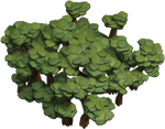 Forest C1.png