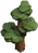 Tree C1-3.png