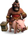 Hog rider.jpg