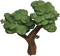 Tree C1-1.png